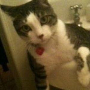 Meet your Posher, Leslie